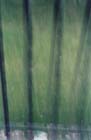 At First Glance-Fence