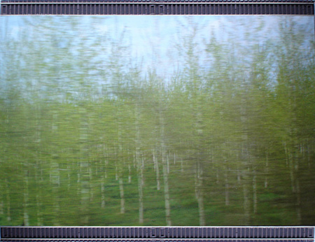 Trainscape-birches