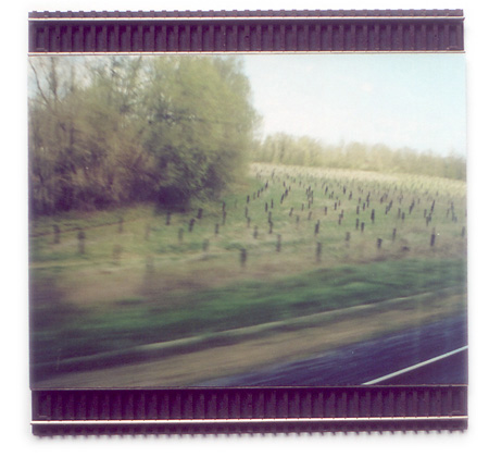 Trainscape-winefield