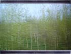 Trainscape-birches